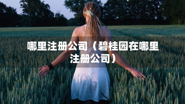 哪里注册公司（碧桂园在哪里注册公司）