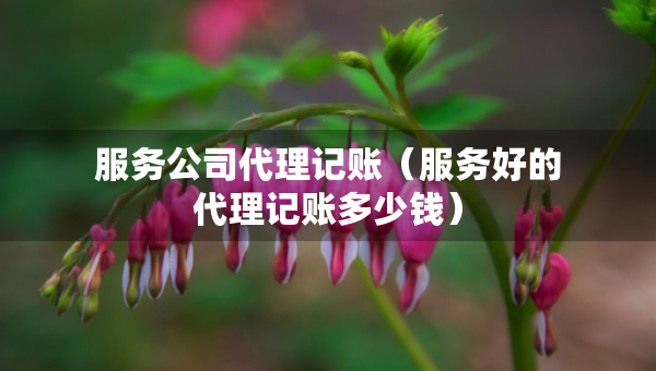 服务公司代理记账（服务好的代理记账多少钱）