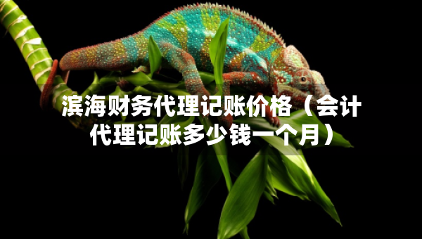 滨海财务代理记账价格（会计代理记账多少钱一个月）