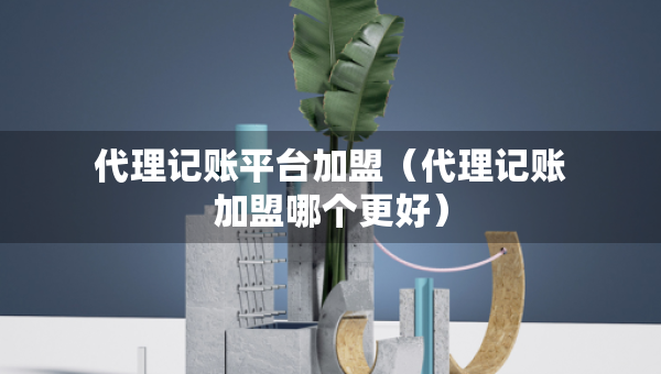 代理记账平台加盟（代理记账加盟哪个更好）