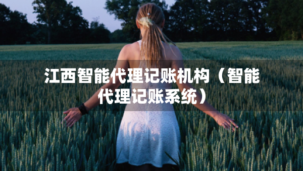 江西智能代理记账机构（智能代理记账系统）