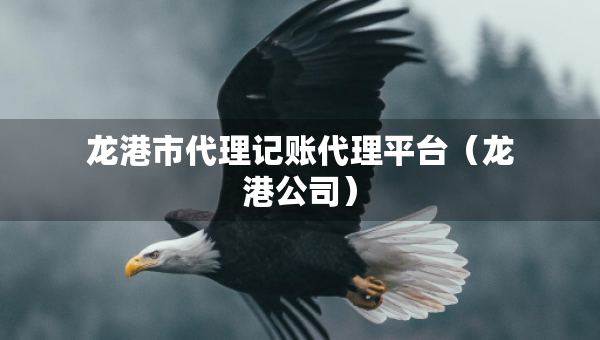 龙港市代理记账代理平台（龙港公司）
