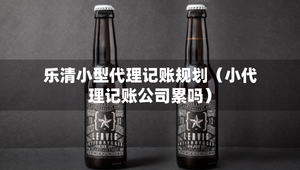 乐清小型代理记账规划（小代理记账公司累吗）
