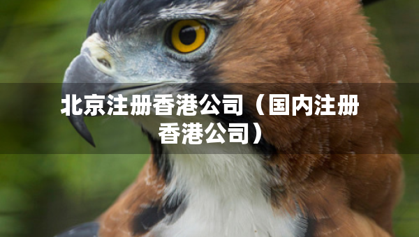 北京注册香港公司（国内注册香港公司）