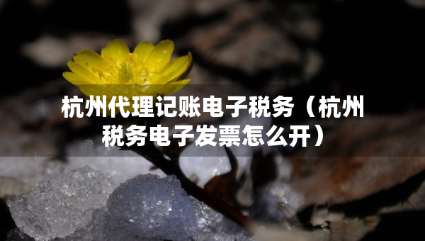 杭州代理记账电子税务（杭州税务电子发票怎么开）
