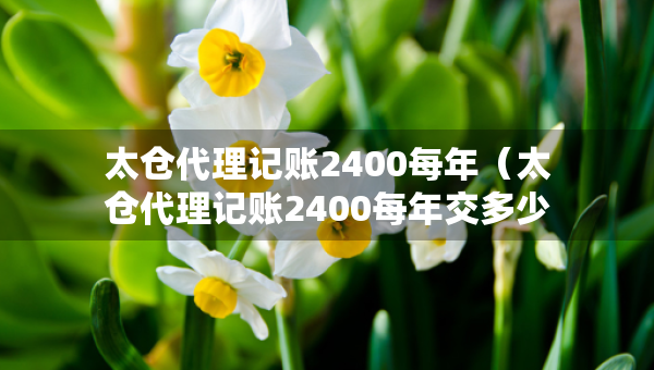 太仓代理记账2400每年（太仓代理记账2400每年交多少钱）
