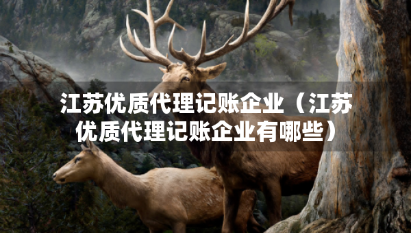 江苏优质代理记账企业（江苏优质代理记账企业有哪些）