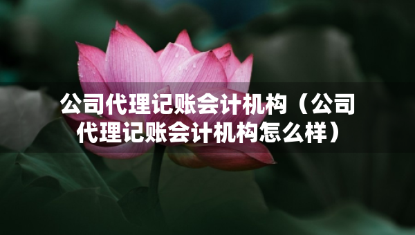公司代理记账会计机构（公司代理记账会计机构怎么样）