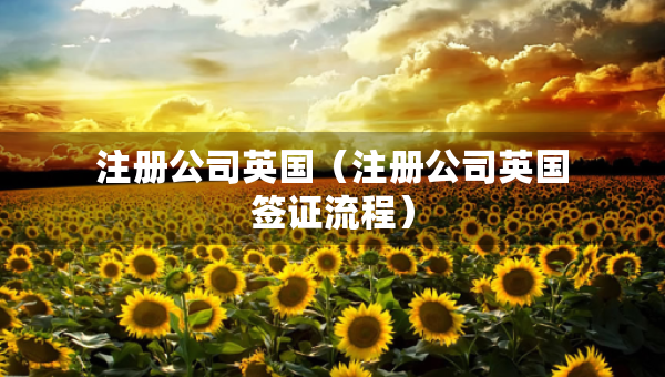 注册公司英国（注册公司英国签证流程）