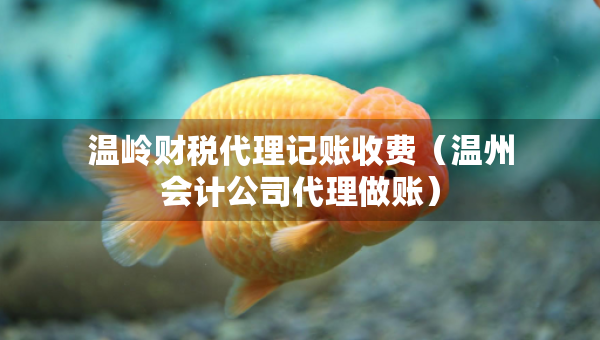 温岭财税代理记账收费（温州会计公司代理做账）