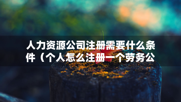 人力资源公司注册需要什么条件（个人怎么注册一个劳务公司）