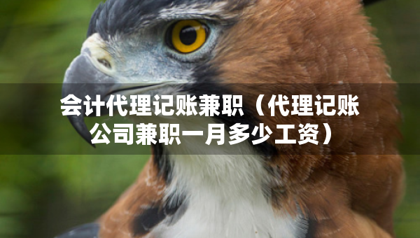 会计代理记账兼职（代理记账公司兼职一月多少工资）