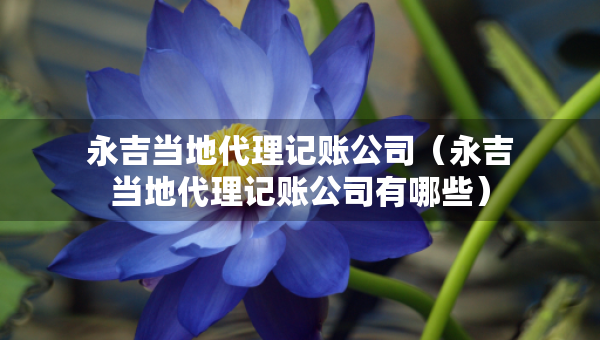 永吉当地代理记账公司（永吉当地代理记账公司有哪些）
