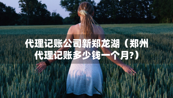 代理记账公司新郑龙湖（郑州代理记账多少钱一个月?）