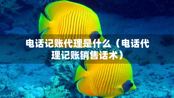 电话记账代理是什么（电话代理记账销售话术）