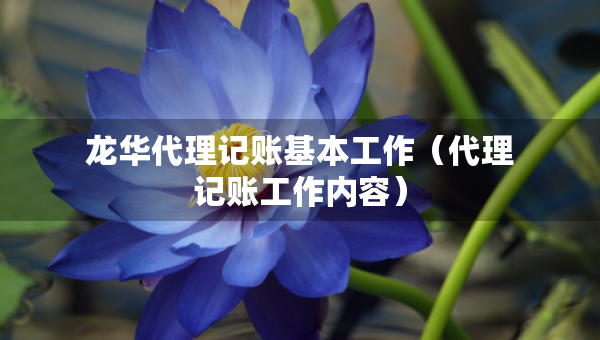 龙华代理记账基本工作（代理记账工作内容）