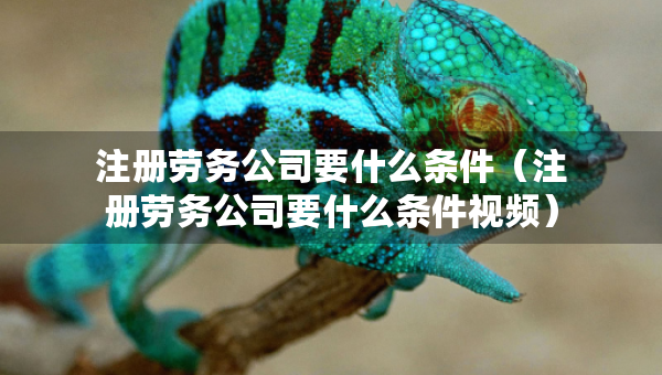 注册劳务公司要什么条件（注册劳务公司要什么条件视频）