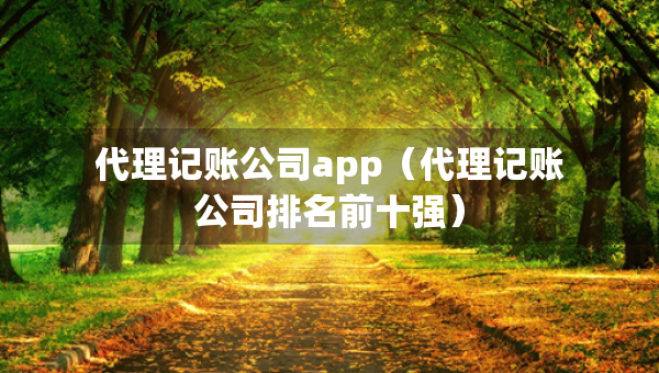 代理记账公司app（代理记账公司排名前十强）