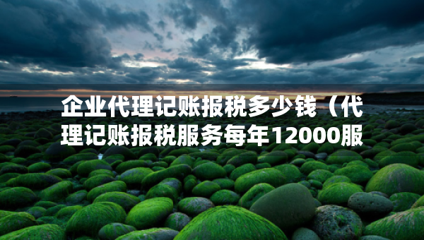 企业代理记账报税多少钱（代理记账报税服务每年12000服务费 高吗）