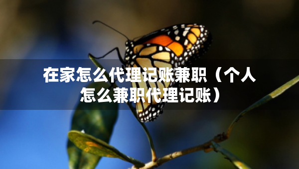 在家怎么代理记账兼职（个人怎么兼职代理记账）
