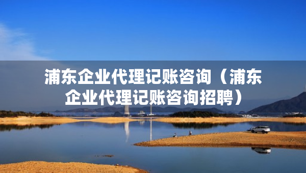 浦东企业代理记账咨询（浦东企业代理记账咨询招聘）