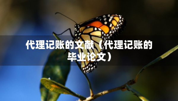 代理记账的文献（代理记账的毕业论文）