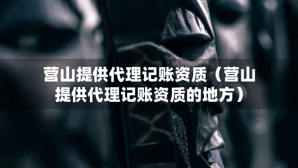 营山提供代理记账资质（营山提供代理记账资质的地方）