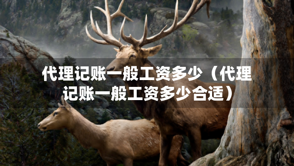 代理记账一般工资多少（代理记账一般工资多少合适）