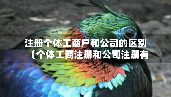 注册个体工商户和公司的区别（个体工商注册和公司注册有什么区别）