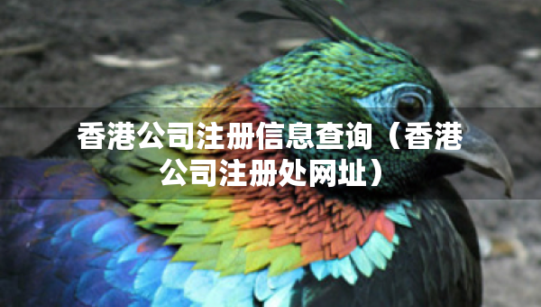 香港公司注册信息查询（香港公司注册处网址）