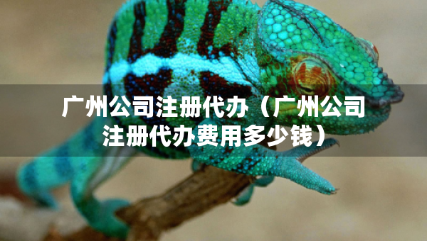 广州公司注册代办（广州公司注册代办费用多少钱）