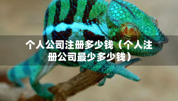 个人公司注册多少钱（个人注册公司最少多少钱）