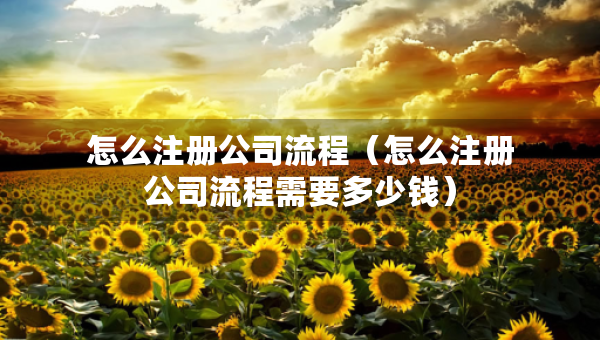 怎么注册公司流程（怎么注册公司流程需要多少钱）