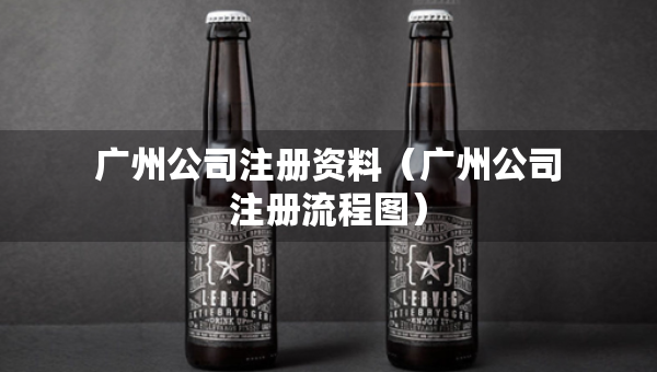 广州公司注册资料（广州公司注册流程图）