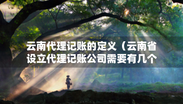 云南代理记账的定义（云南省设立代理记账公司需要有几个人）