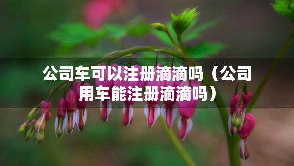 公司车可以注册滴滴吗（公司用车能注册滴滴吗）