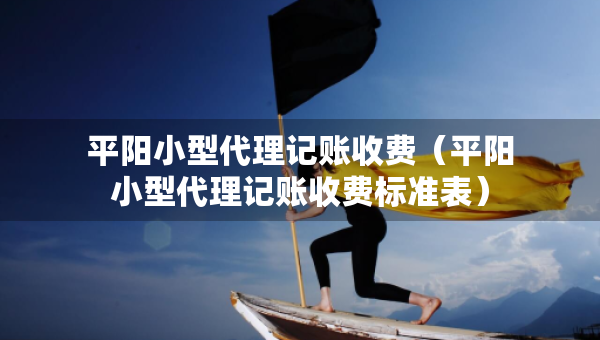 平阳小型代理记账收费（平阳小型代理记账收费标准表）