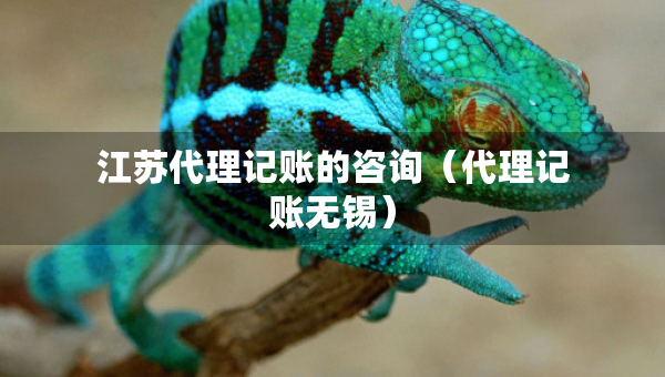 江苏代理记账的咨询（代理记账无锡）