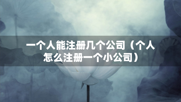 一个人能注册几个公司（个人怎么注册一个小公司）