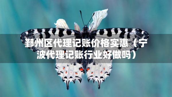 鄞州区代理记账价格实惠（宁波代理记账行业好做吗）
