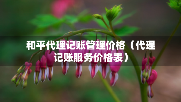 和平代理记账管理价格（代理记账服务价格表）