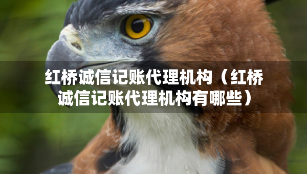 红桥诚信记账代理机构(红桥诚信记账代理机构有哪些) 红桥诚信记账代理机构(红桥诚信记账代理机构有哪些)
