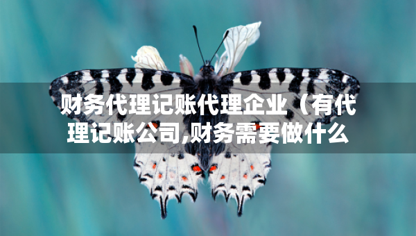 财务代理记账代理企业（有代理记账公司,财务需要做什么）