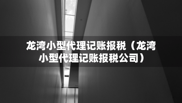 龙湾小型代理记账报税（龙湾小型代理记账报税公司）