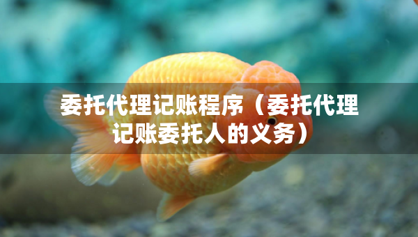 委托代理记账程序（委托代理记账委托人的义务）