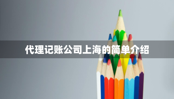 代理记账公司上海的简单介绍