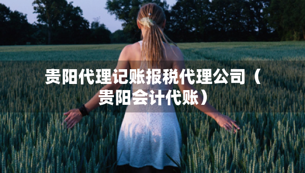 贵阳代理记账报税代理公司（贵阳会计代账）