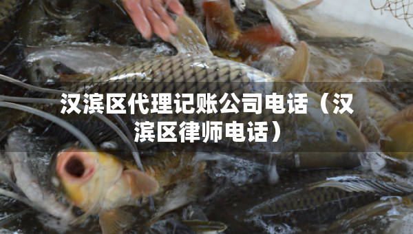 汉滨区代理记账公司电话（汉滨区律师电话）