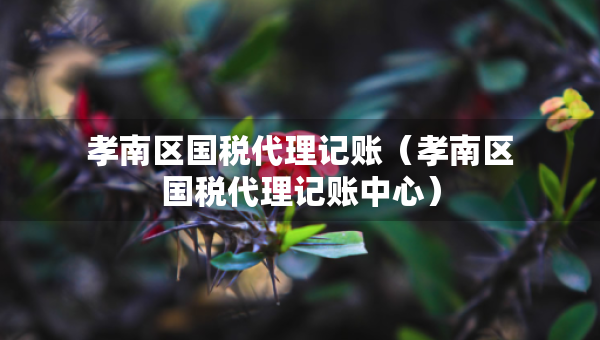 孝南区国税代理记账（孝南区国税代理记账中心）