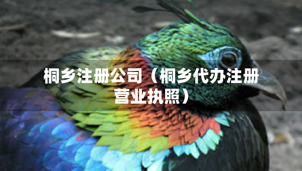 桐乡注册公司（桐乡代办注册营业执照）